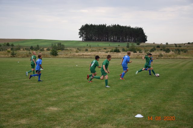 plewis 20